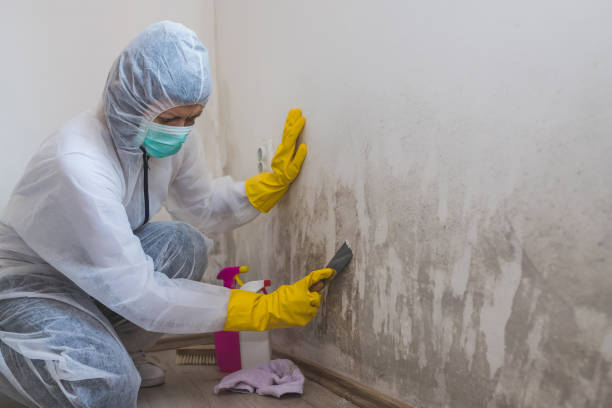 Best Mold Testing  in Lauderdale Lakes, WI